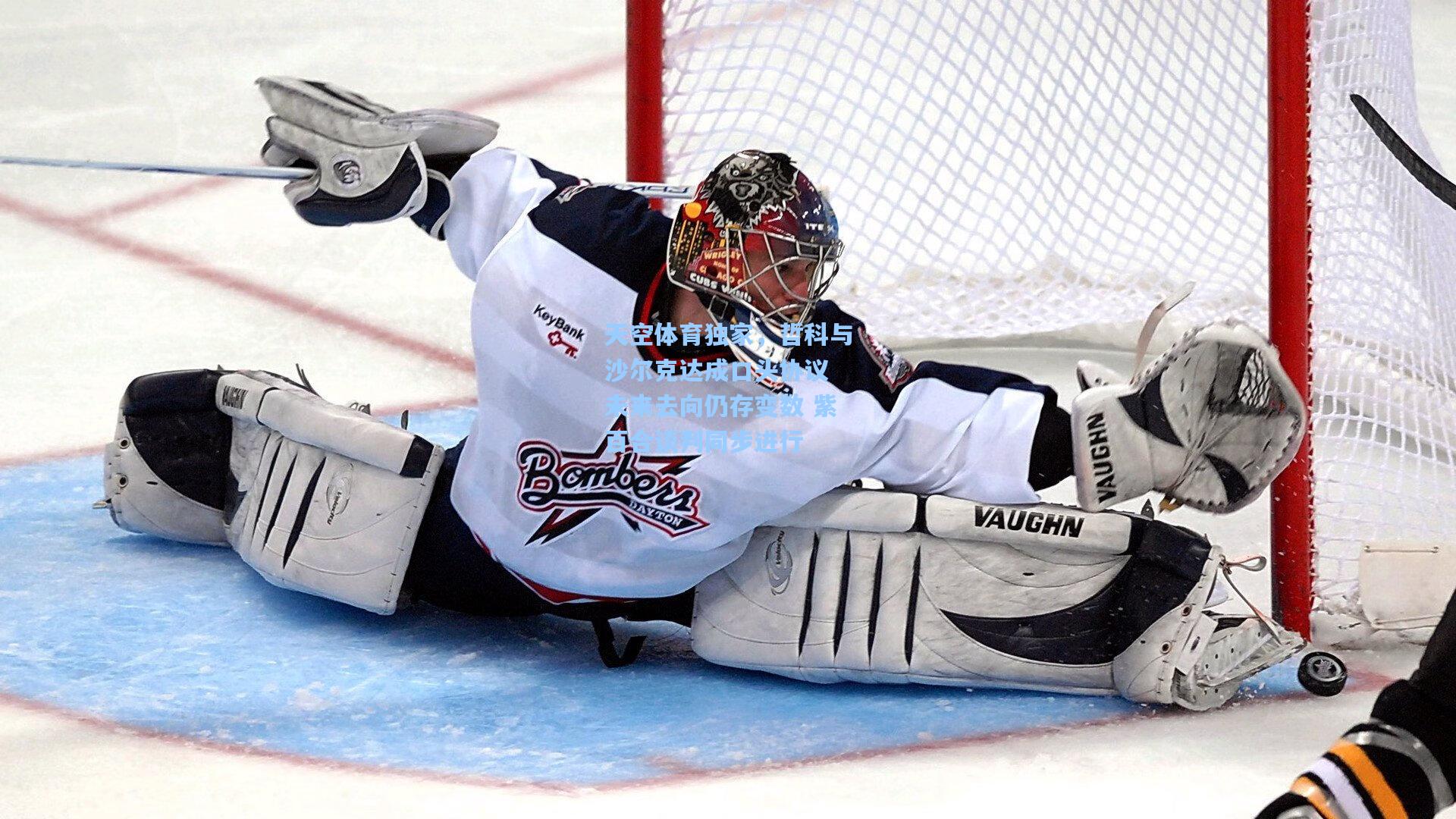 天空体育独家，哲科与沙尔克达成口头协议 未来去向仍存变数 紫百合谈判同步进行